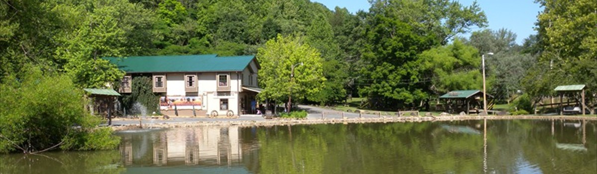 Horseback riding in the Smoky Mountains