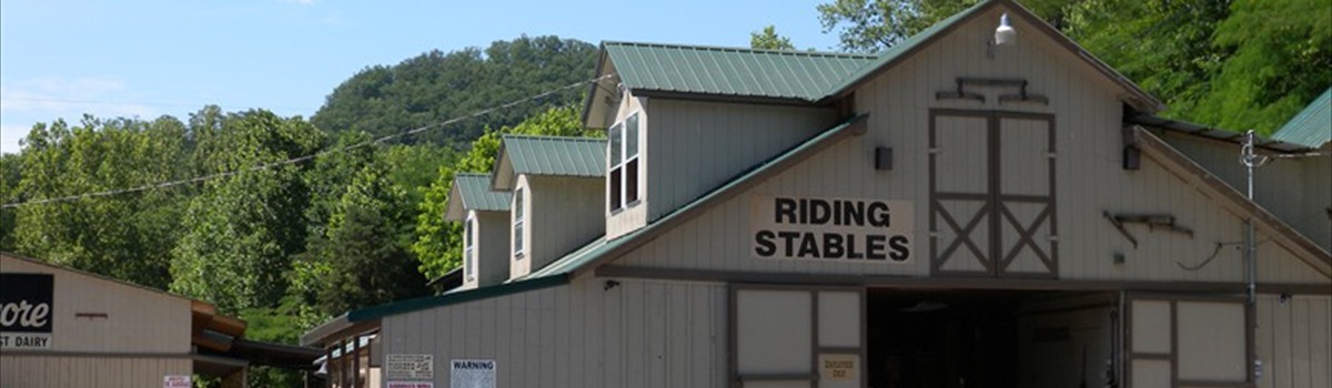 Horseback riding in the Smoky Mountains