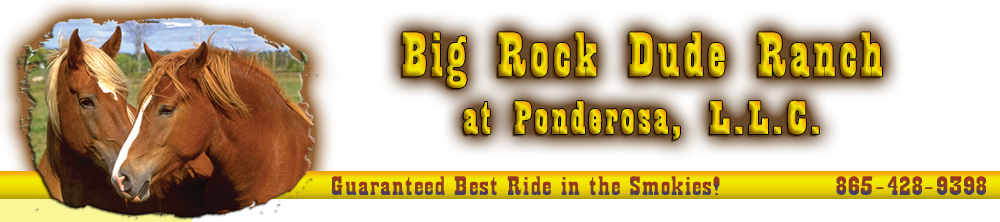 Pigeon Forge Horseback Riding