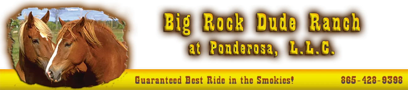 Pigeon Forge Horseback Riding