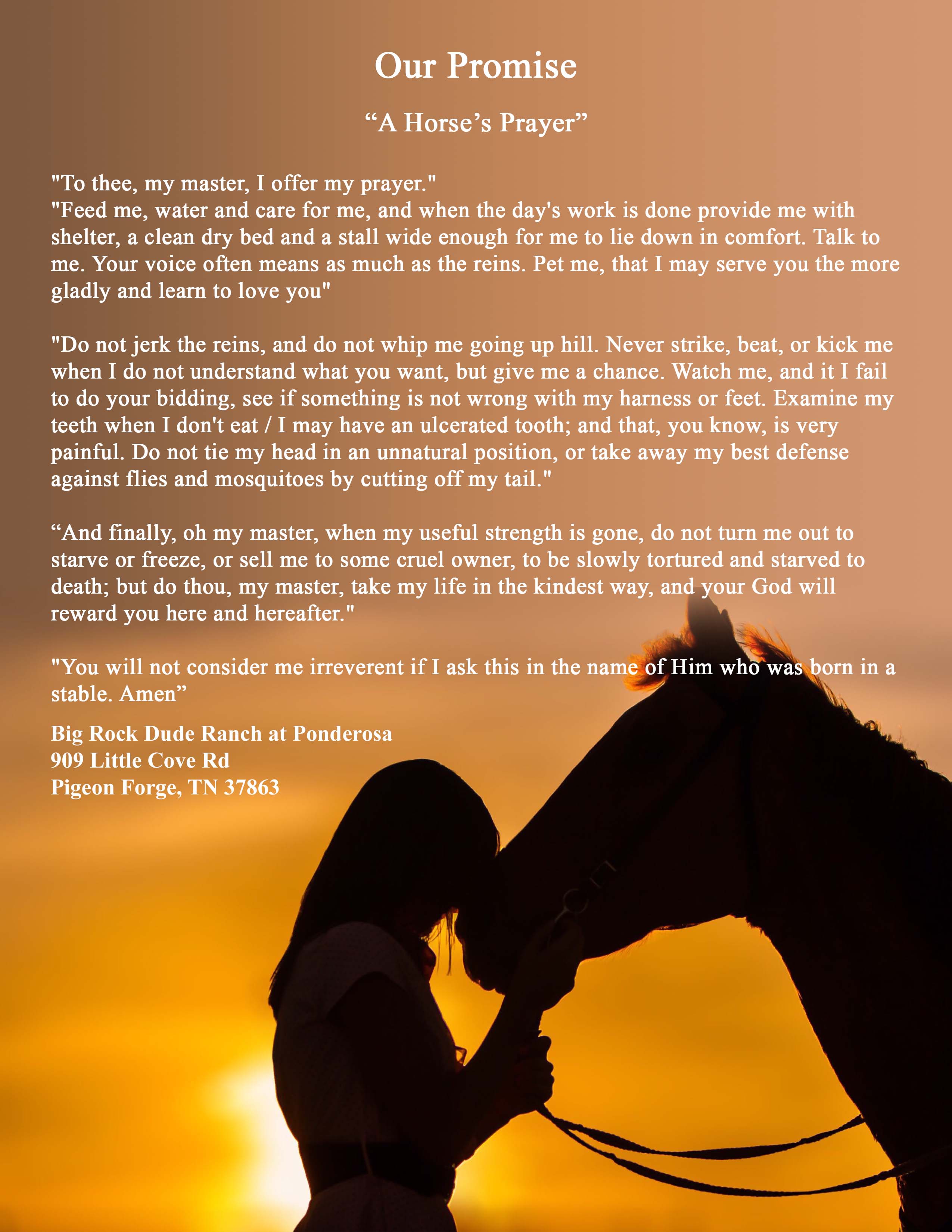 our promise to our horses.