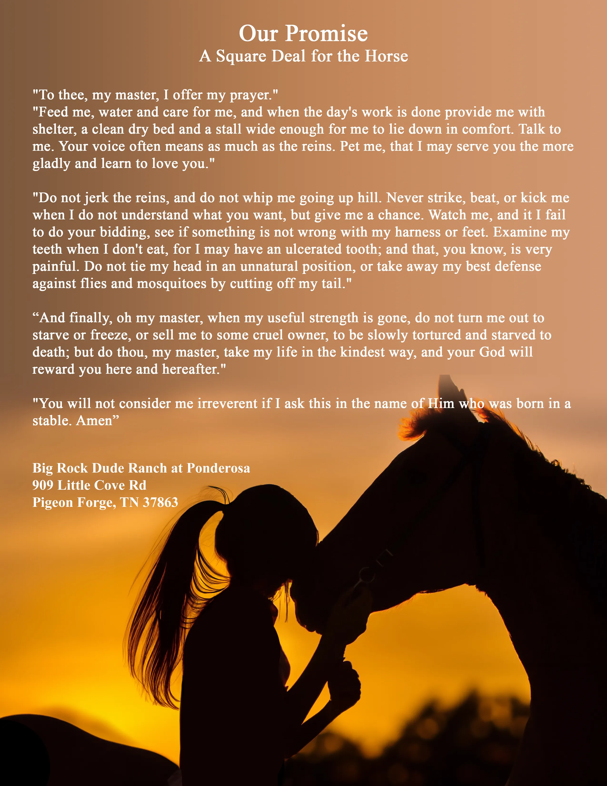 our promise to our horses.