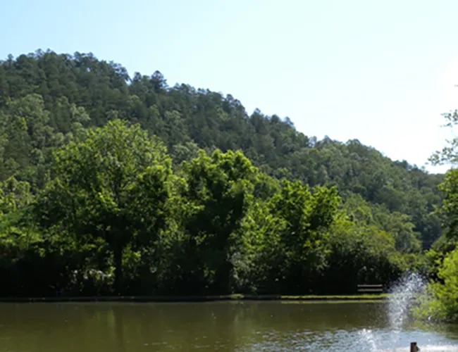 fishing pond