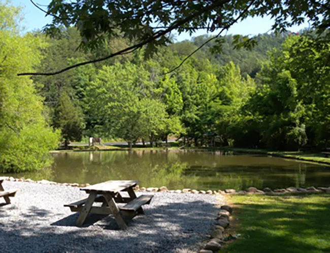 picnic tables near the pond