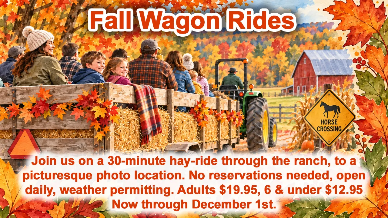 people on a hayride in the fall
