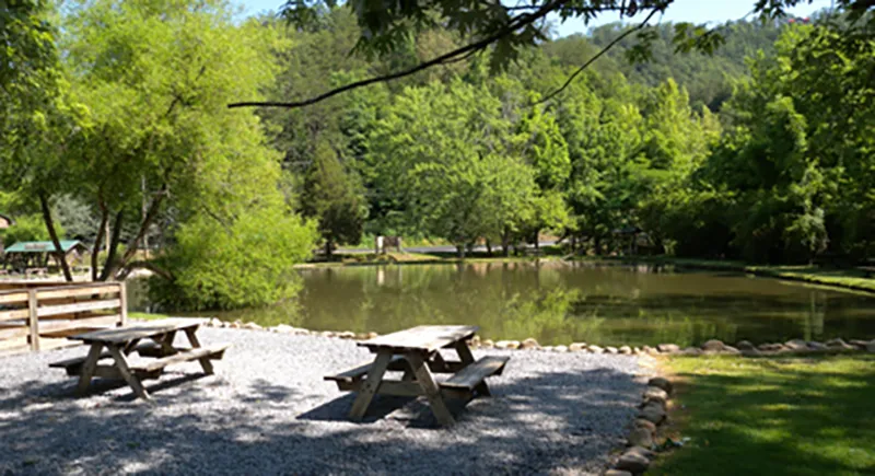 picnic tables